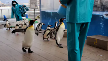 仙台うみの杜水族館に投稿された画像（2020/12/16）