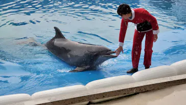 仙台うみの杜水族館に投稿された画像（2020/12/16）