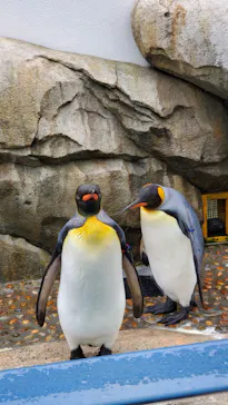 仙台うみの杜水族館に投稿された画像（2020/12/16）