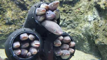 仙台うみの杜水族館に投稿された画像（2020/12/16）