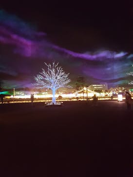 東京メガイルミに投稿された画像（2020/12/16）