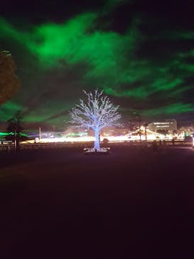 東京メガイルミに投稿された画像（2020/12/16）