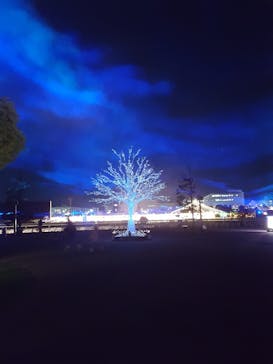 東京メガイルミに投稿された画像（2020/12/16）