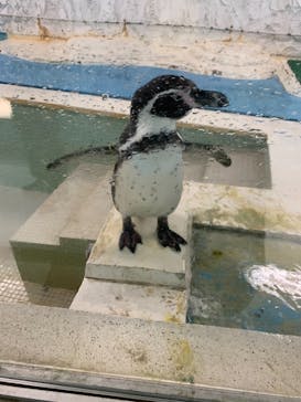 天王寺動物園に投稿された画像（2020/12/16）