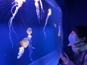 すみだ水族館に投稿された画像（2020/12/16）