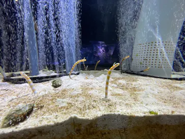 すみだ水族館に投稿された画像（2020/12/16）