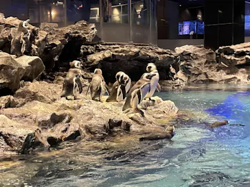 すみだ水族館に投稿された画像（2020/12/16）