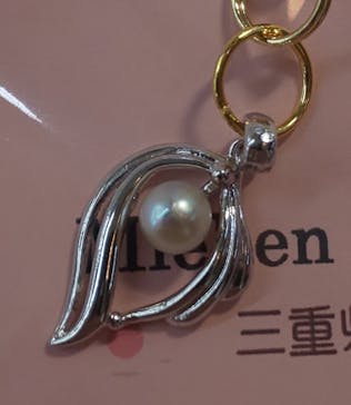 三重県真珠に投稿された画像（2020/12/16）