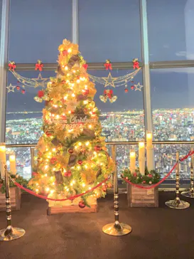 東京スカイツリーに投稿された画像（2020/12/16）