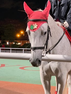 東京メガイルミに投稿された画像（2020/12/16）