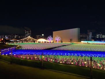 東京メガイルミに投稿された画像（2020/12/16）