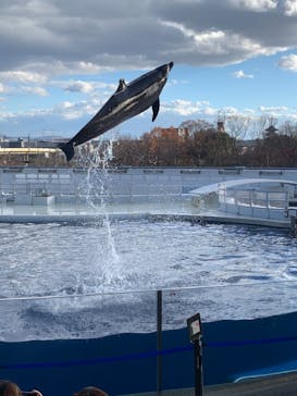 京都水族館に投稿された画像（2020/12/16）