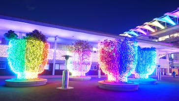 東京メガイルミに投稿された画像（2020/12/16）