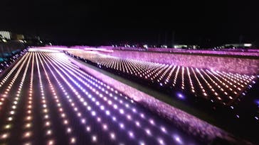 東京メガイルミに投稿された画像（2020/12/16）