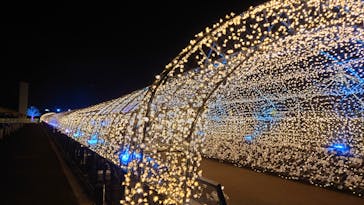 東京メガイルミに投稿された画像（2020/12/16）