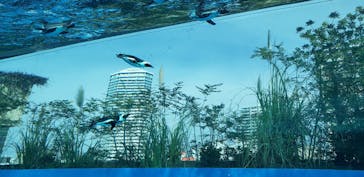 サンシャイン水族館に投稿された画像（2020/12/16）