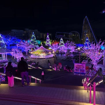 よみうりランド 遊園地に投稿された画像（2020/12/16）