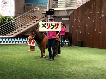 ノーザンホースパークに投稿された画像（2020/12/16）