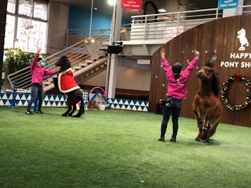 ノーザンホースパークに投稿された画像（2020/12/16）