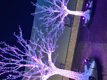 東京メガイルミに投稿された画像（2020/12/16）