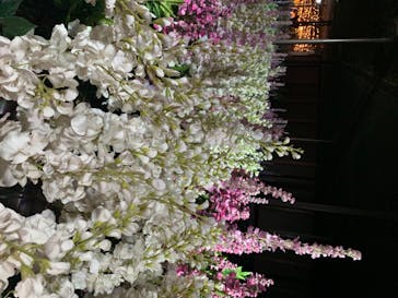 東京メガイルミに投稿された画像（2020/12/16）