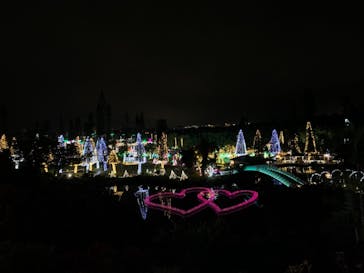 美らヤシパークオキナワ・東南植物楽園に投稿された画像（2020/12/17）