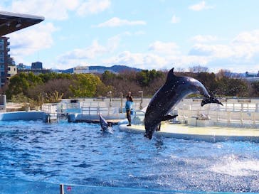 京都水族館に投稿された画像（2020/12/17）