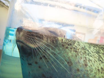京都水族館に投稿された画像（2020/12/17）