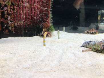 京都水族館に投稿された画像（2020/12/17）