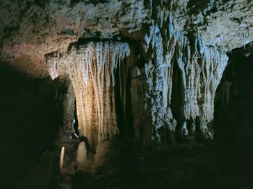 おきなわワールドに投稿された画像（2020/12/17）