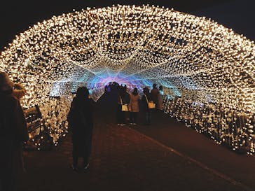 東京メガイルミに投稿された画像（2020/12/17）