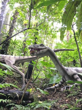 御菓子御殿　名護店　やんばる亜熱帯の森DINO恐竜PARKに投稿された画像（2020/12/17）