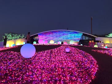 よみうりランド 遊園地に投稿された画像（2020/12/17）