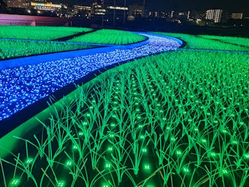 東京メガイルミに投稿された画像（2020/12/17）