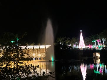 美らヤシパークオキナワ・東南植物楽園に投稿された画像（2020/12/17）