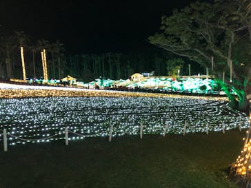 美らヤシパークオキナワ・東南植物楽園に投稿された画像（2020/12/17）
