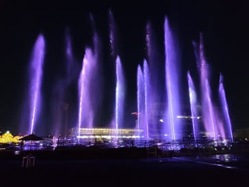 東京メガイルミに投稿された画像（2020/12/17）