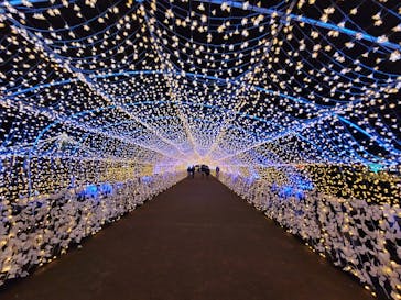 東京メガイルミに投稿された画像（2020/12/17）