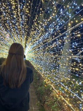 美らヤシパークオキナワ・東南植物楽園に投稿された画像（2020/12/17）