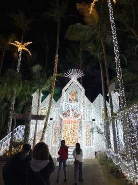 美らヤシパークオキナワ・東南植物楽園に投稿された画像（2020/12/18）