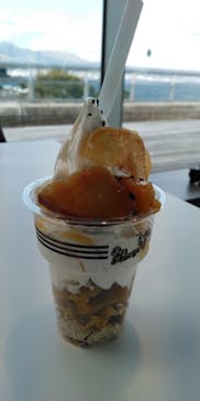 大分マリーンパレス水族館 「うみたまご」に投稿された画像（2020/11/28）