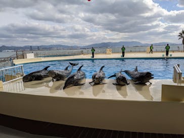 マリンワールド海の中道に投稿された画像（2020/12/18）