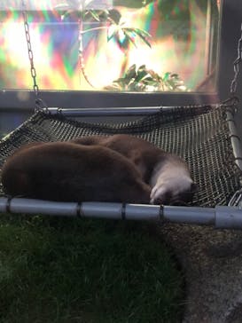 サンシャイン水族館に投稿された画像（2020/12/18）