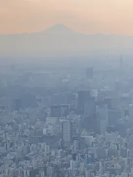 東京スカイツリーに投稿された画像（2020/12/18）
