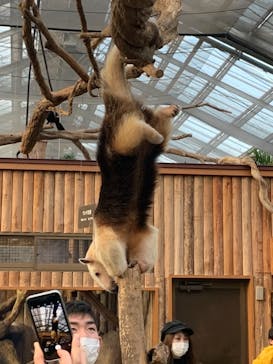 神戸どうぶつ王国に投稿された画像（2020/12/18）