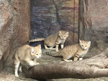 那須どうぶつ王国に投稿された画像（2020/12/18）