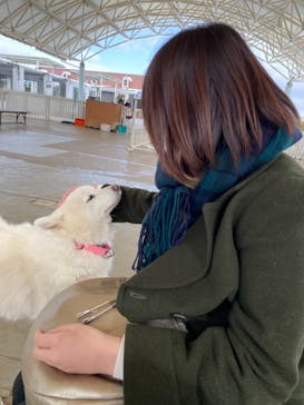 那須どうぶつ王国に投稿された画像（2020/12/18）