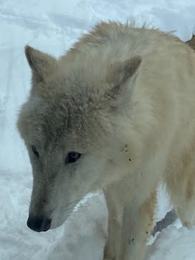 那須どうぶつ王国に投稿された画像（2020/12/18）