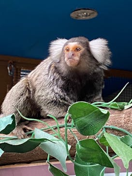 那須どうぶつ王国に投稿された画像（2020/12/18）