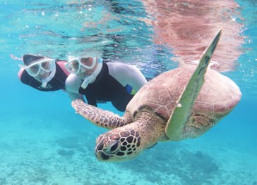 アマミエンシスに投稿された画像（2020/12/18）